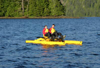 Ketchikan Shore Excursion: Ward Cove Wildlife Seacycle Tour