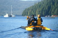 Ward Cove Wildlife Seacycle Tour