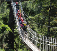 Douglas Island Zipline Tour from Juneau