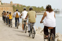 Mallorca Shore Excursion: Palma Bike Tour Including Palma Cathedral and Parc de la Mar