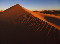 Traversée des dunes rouges de Dubaï, Incluant Une expérience Dans le camp non du désert with barbecue dîner