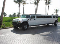 Visite privée: visite personnalisée de Dubaï en limousine Hummer