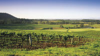 Hunter Valley Food and Wine Tasting Day Tour de Sydney, y compris en option Hunter Valley Gardens