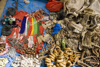Kampala Sightseeing Tour Including Traditional Medicine