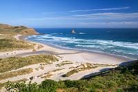 Dunedin Shore Excursion: Small-Group Tour of Dunedin and the Otago Peninsula