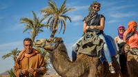 Desert and Palm Grove Camel Ride from Marrakech Including Moroccan Tea and Snack