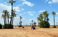 Excursion à dos de chameau et en quad au départ de Marrakech