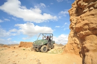 Excursion en poussette dans le désert et la palmeraie de Marrakech, with visite d'ONU village berbère