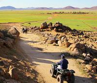 Marrakech Desert and Palm Grove Quad Bike Tour