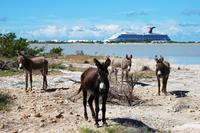 Grand Turk Historical Sightseeing Tour by Tram