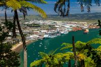 Tauranga Shore Excursion: Mt Drury et de l'île Moturiki Walking Tour, y compris le mont Hot Pools Admission Tauranga Shore Excursion: Mt Drury et de l'île Moturiki Walking Tour, y compris le mont Hot Pools Admission