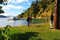 Motuara Island Bird Sanctuary and Ship Cove Cruise from Picton