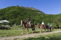 Sapporo Horseback-Riding Tour