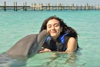 Private Island Dolphin Swim from Nassau