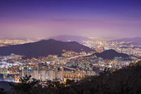 Private Night Tour of Busan