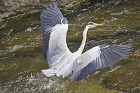 Private Tour of Junam Wetlands and Haeinsa Temple