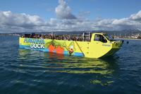 Hawaii Duck Tour: Honolulu Sightseeing