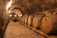 Excursion Dans les vignobles d'Etyek with dîner au départ de Budapest