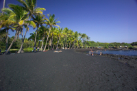 Big Island en une journée : visite en petit groupe des volcans, des cascades et des sites touristiques et historiques Big Island en une journée : visite en petit groupe des volcans, des cascades et des sites touristiques et historiques
