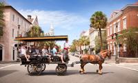 Historic Charleston Carriage Ride