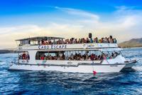 Los Cabos Breakfast Snorkel Cruise