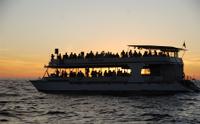 Sunset Fajita Cruise from Cabo San Lucas