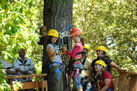 Ziplining Adventure in Sonoma