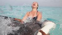 Stingray City et Snorkel Tour