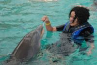 Blue Lagoon Dolphin Swim from Nassau