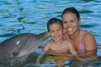 Blue Lagoon Island Dolphin Encounter from Nassau