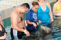 Blue Lagoon Sea Lion Encounter from Nassau