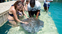 Blue Lagoon Stingray Encounter with Snorkeling