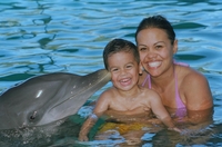 Rencontre avec les dauphins sur l'île de Blue Lagoon au départ de Nassau