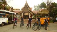 Half-Day Small Group Biking and Boating Tour in Chiang Mai