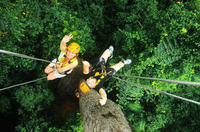 Rainforest Canopy Zipline Adventure from Bangkok