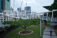 Excursion en bord de mer à Brisbane: visite privée de la ville