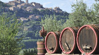 Lucca Montecarlo and Wine Tour by Minivan from Pisa