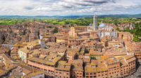Siena and San Gimignano Small-Group Tour by Minivan from Lucca