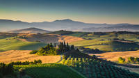 Vinci Chianti Wine and Aperitivo Small Group Tour by Minivan from Lucca
