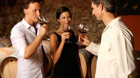 Wine and Food Tour in the Lucca Countryside by Minivan