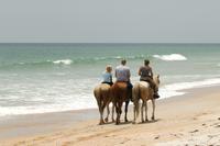 Negril Small-Group Horseback-Riding Beach Tour