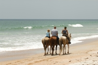 Visite sur la plage de Negril à cheval, en petit groupe