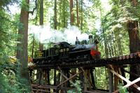 Roaring Camp Steam Train Through Santa Cruz Redwoods