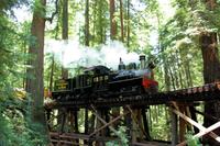 Traversée de Santa Cruz Redwoods par le Train à vapeur de Roaring Camp