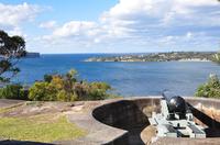 Sydney City Tour Including Bondi Beach, Watsons Bay, Balmoral Beach with Optional Taronga Zoo Entry Ticket image 1 Sydney City Tour Including Bondi Beach, Watsons Bay, Balmoral Beach with Optional Taronga Zoo Entry Ticket image 1
