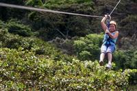 Apaneca Zipline Adventure with Optional Flowers Route Tour