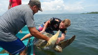 Jiquilisco Bay Biosphere Reserve Turtle Rodeo Capture Tour