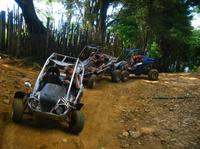 Laguna Verde Dune Buggy Adventure with Optional Flowers Route Tour