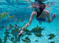 Croisière-plongée au départ de Montego Bay