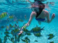 Snorkel Cruise from Montego Bay